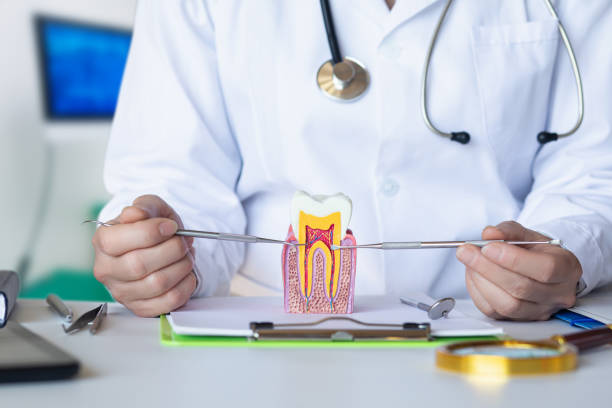 Best Emergency Orthodontic Repairs in Black Forest, CO